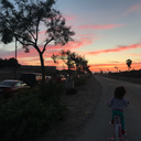 freespirit411 avatar