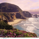 freethingsinlife avatar