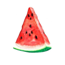 freewatermelon0 avatar