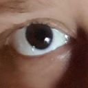 freewonderlandstranger avatar