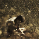 freezer--bride avatar