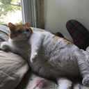 freezingmoooon avatar