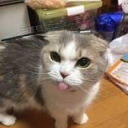 freilla-wraepuwiwwawooou avatar