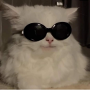 freja-with-a-j avatar