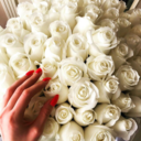 french-barbiedoll avatar