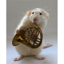 frenchhornsramazing avatar