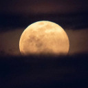 frenchmontan-a avatar