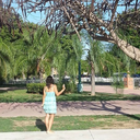 frentemarchita avatar