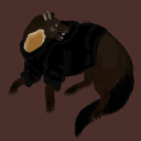 frenziedmarten avatar