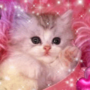 fresaconcarne avatar