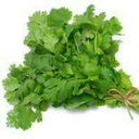 fresh-coriander avatar