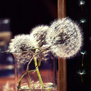 freshairfromparis avatar