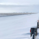 freshblizzardfart avatar