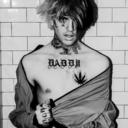 freshdreambasement avatar