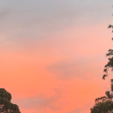 freshly-toxified avatar