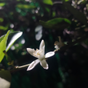 freshstatixnow avatar