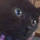 freshzombiemusic avatar