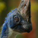 friarbeefjohnson avatar