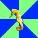 frickyeahschizoaffectiveseahorse avatar