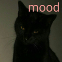 fridaymoodkilzz avatar