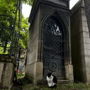 fridgelightdancing avatar