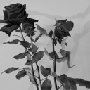 friedgreenredpeppers avatar