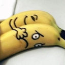 friedolinfroehlich-blog avatar