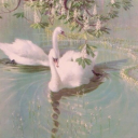 friedtomatosandicried avatar