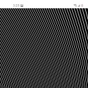 friedtrashauthorpurse avatar