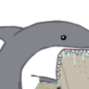 friend-shark avatar