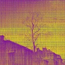 friendintheforest avatar