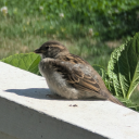 friendly-cat-lover-683 avatar