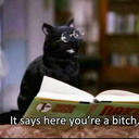 friendly-neighborhood-lab-witch avatar