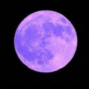 friendlyneighborhoodsociopath avatar