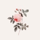 friendlysights avatar