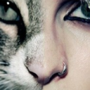 friendlyvandalism avatar