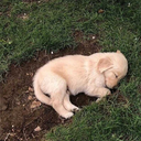 friendtotheuniverse avatar