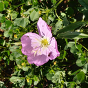 frigginnervouswreck avatar