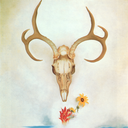 frightenedfields avatar