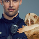 frightfullytreeish avatar