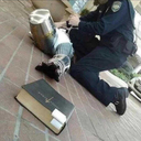 frightfulpanda avatar