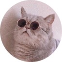 frills-and-metal avatar