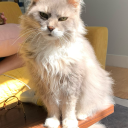 frills-n-thrills avatar