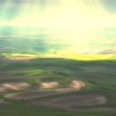 frith-in-thorns avatar