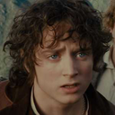 frodotwinkbaggins avatar