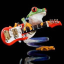 frog-bassist avatar