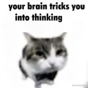 frog-p1ss-420 avatar