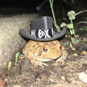 frog-vents avatar