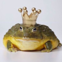 frogbabie avatar