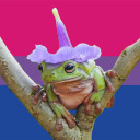 frogcoded avatar